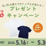 「楽スマ」3L～9Lのトップスプレゼント