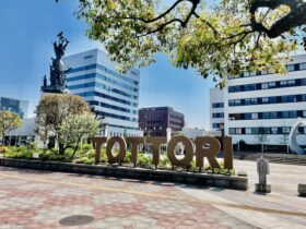 鳥取 大きいサイズのレディースショップ